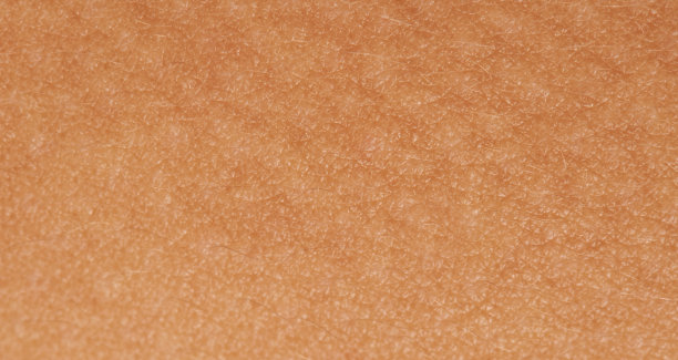 女性的皮肤纹理图片下载