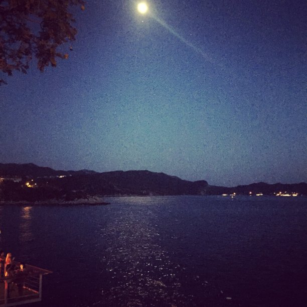 杂项照片/自然|海洋|动物图片下载