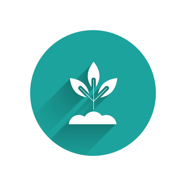白色植物图标孤立与长影子。种子和幼苗。叶子的迹象。叶自然。绿色圆圈按钮。矢量图图片下载