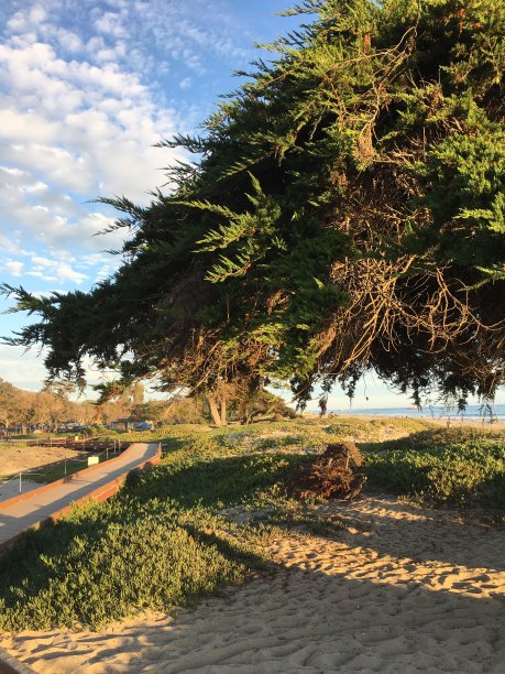 海滩露营地的美丽天空图片下载