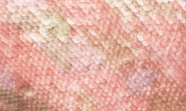 彩色彩虹亮片纹理图片下载