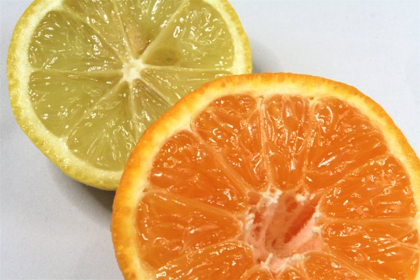 柠檬和橙子切成两半图片下载