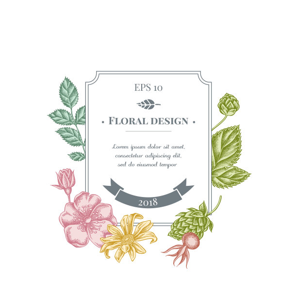 徽章设计与柔和的狗玫瑰，啤酒花，菊芋图片下载