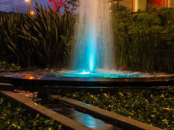 蓝色灯光的喷泉和夜间花园图片下载