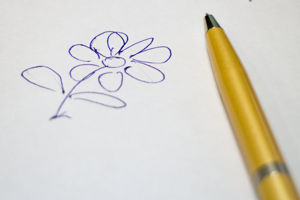 在一张纸上画了一朵花图片下载