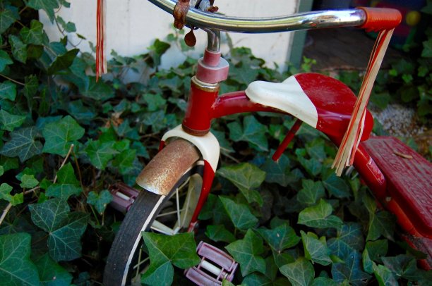 红色的三轮车图片下载