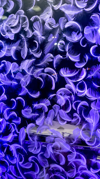 紫色羽毛纹理背景图片下载