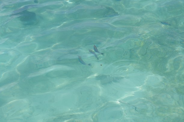 马尔代夫图片下载