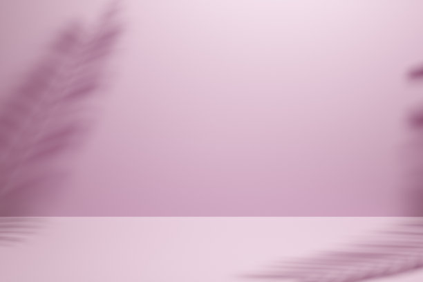 两片棕榈叶的影子投射在墙上图片下载