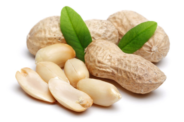 花生孤立在白色背景上图片下载