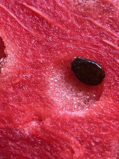 西瓜水果特写-库存照片图片下载