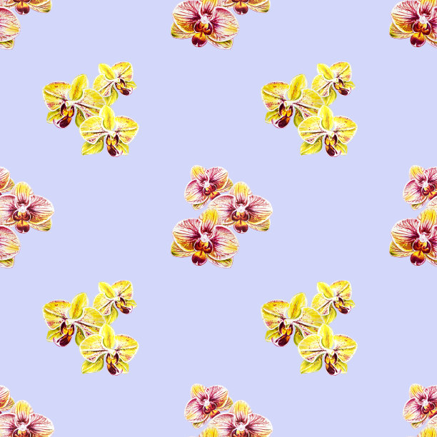 从鲜艳的兰花花无缝图案。水彩画。外来植物。印花。植物成分。婚礼和生日。问候纹理。图片下载