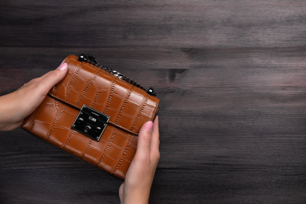 女人鳄鱼皮钱包或手袋上链特写，休闲风格，俯视图，拷贝空间图片下载