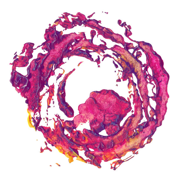 紫色、粉红色、洋红等抽象颜料，由植物花压印而成图片下载