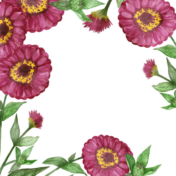 水彩手绘在绿色的树枝和树叶上的自然颜色粉红色的堇青花请柬和贺卡与文字的空间。图片下载