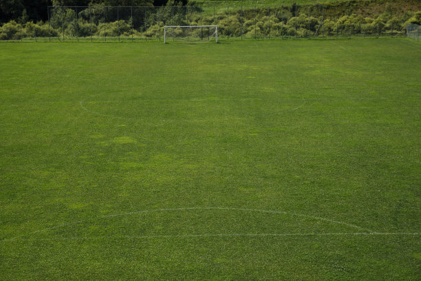 草地-足球场图片下载