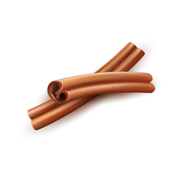 现实的干肉桂棒矢量香料和图片下载
