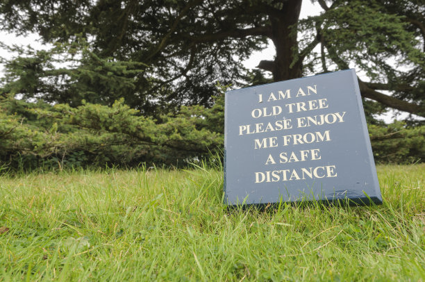 要求公众远离一棵老树的标志图片下载