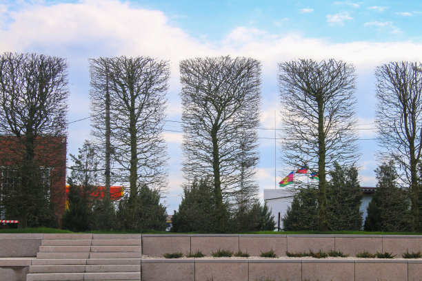 背景是公园里的树木，蓝天被修剪成矩形。几何图形。图片下载