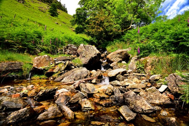 无名溪流上的瀑布图片下载