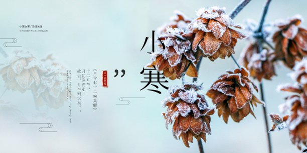 简约中国风小寒二十四节气展板图片下载