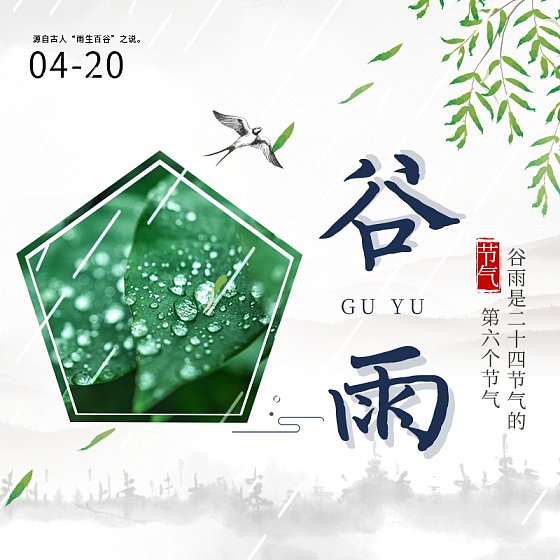 谷雨节气电商主图图片下载