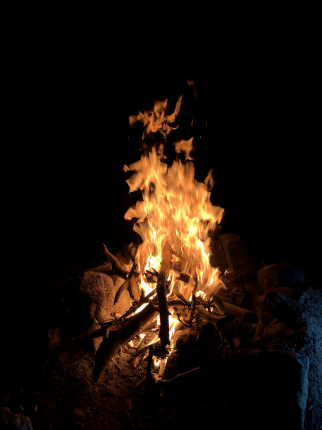 野营火图片下载