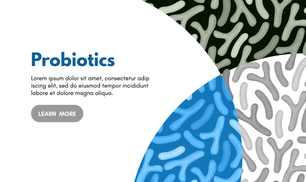 载体背景与益生菌。双歧杆菌、乳酸菌。乳酸细菌。微生物组图片下载