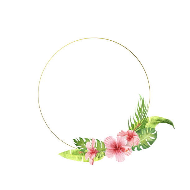 水彩边框绿色热带叶和花图片下载