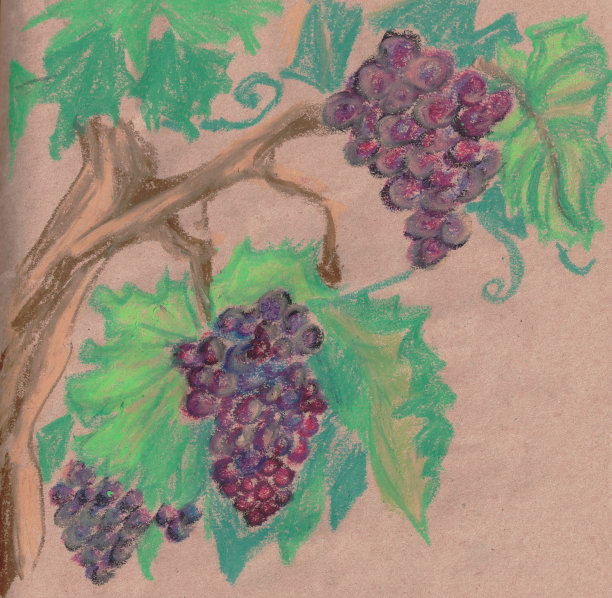 用蜡笔在牛皮纸上画的一串绿色葡萄图片下载