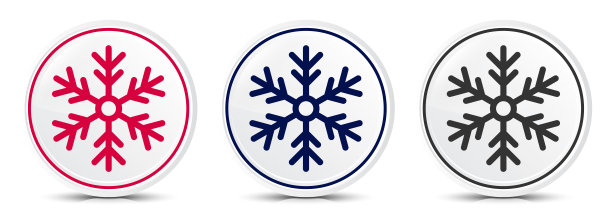 雪花图标水晶扁圆形按钮设置插图设计图片下载