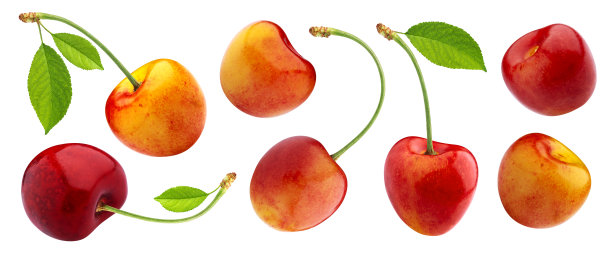 黄色的樱桃，茎和叶孤立在白色背景上图片下载