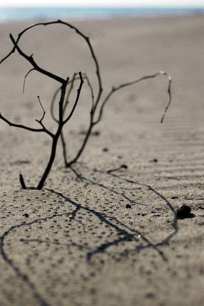 干燥的沙滩和清澈的蓝天特写图片下载