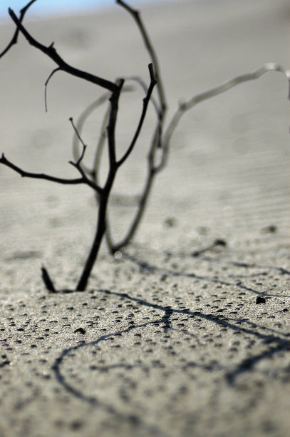 干燥的沙滩和清澈的蓝天特写图片下载