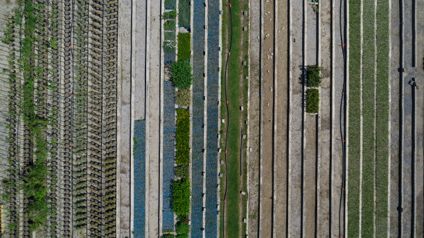 林业苗木产品、水产养殖、树苗图片下载