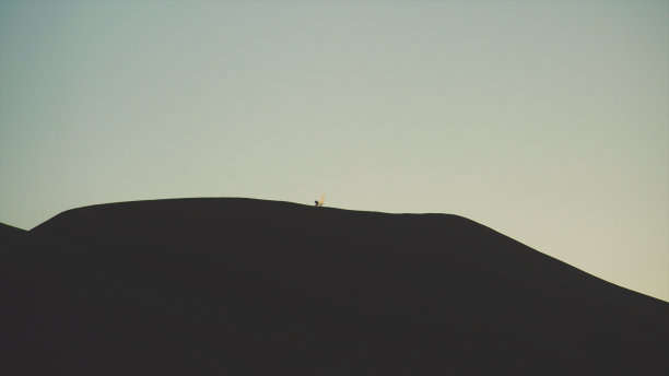 在沙丘上抛撒沙子的剪影图片下载