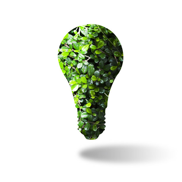 环保的概念。叶子形状的灯泡图片下载