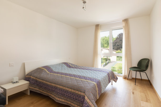 有床和天鹅绒椅子的现代卧室图片下载