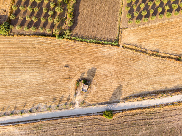 清晨西西里岛乡村田野的鸟瞰图图片下载