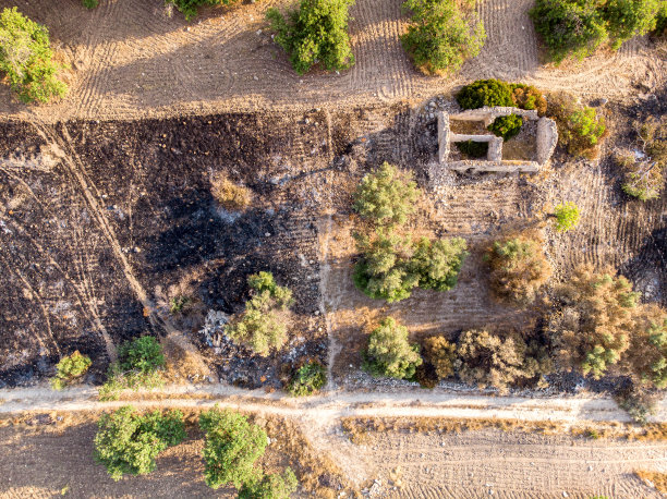 清晨西西里岛乡村田野的鸟瞰图图片下载
