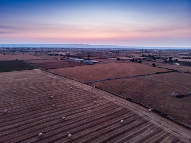 鸟瞰图的田野满是小麦在日出图片下载