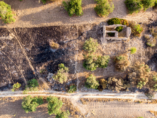 清晨西西里岛乡村田野的鸟瞰图图片下载