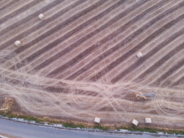 鸟瞰图的田野满是小麦在日出图片下载