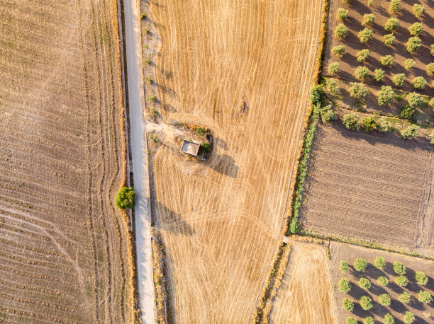 清晨西西里岛乡村田野的鸟瞰图图片下载