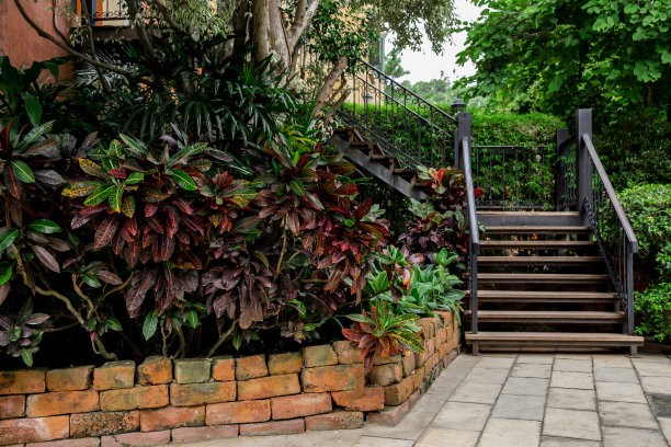 泰国人造地面步道草地图片下载