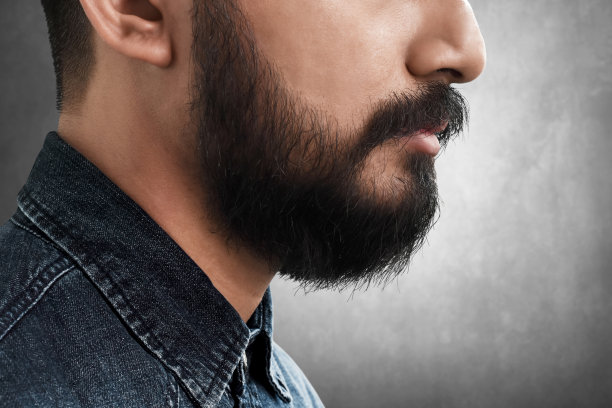 大胡子男人的侧视图图片下载