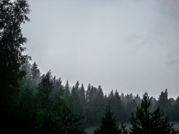 大雨隐约可见，后面是一片黑暗不祥的森林。图片下载