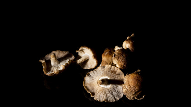 艺术近景香菇黑色图片下载