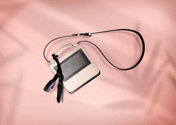 手提包与剪贴路径在一个柔和的背景图片下载