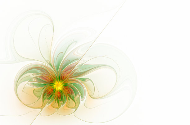 美丽的夏季抽象花在白色的背景图片下载